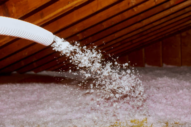 Best Residential Insulation in Olympia Heights, FL