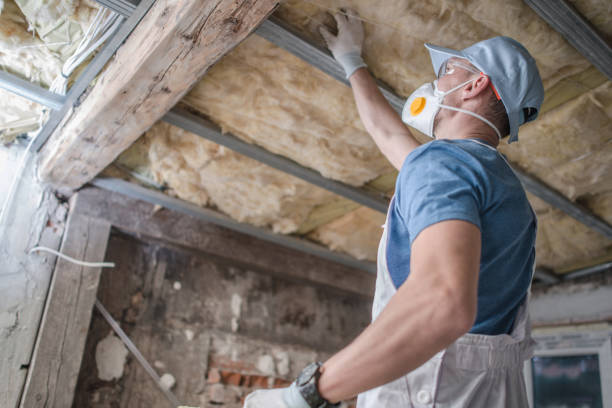 Best Insulation Installation Services in Olympia Heights, FL